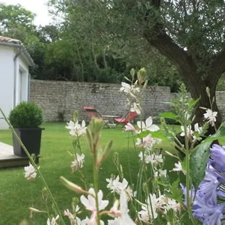 Maison Familiale De 6 Pers A 50m De La A - Fr-1-835-37 Vakantiehuis La Flotte